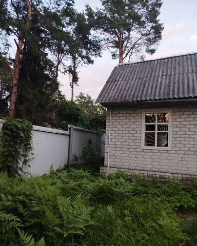 Новодарковичское сельское поселение, Брянск фото