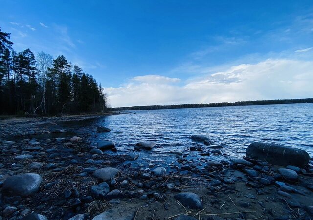 земля снт Водник 3 Заозерское сельское поселение, Прионежский р-н, Петрозаводск фото земля снт Водник 3 Заозерское сельское поселение, Прионежский р-н, Петрозаводск фото