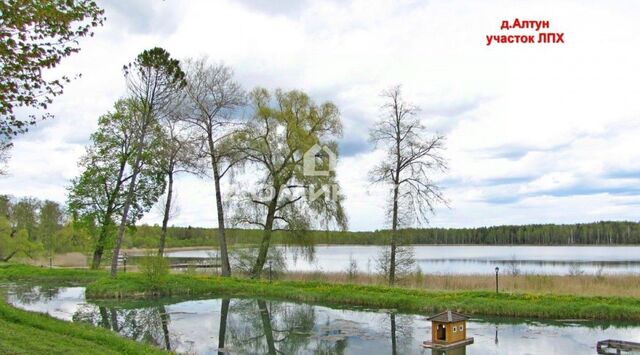земля д Алтун фото земля д Алтун фото