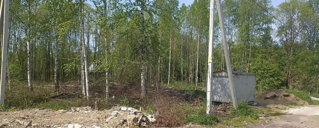 земля р-н Вологодский снт Радужное Педагог, Вологда фото 6