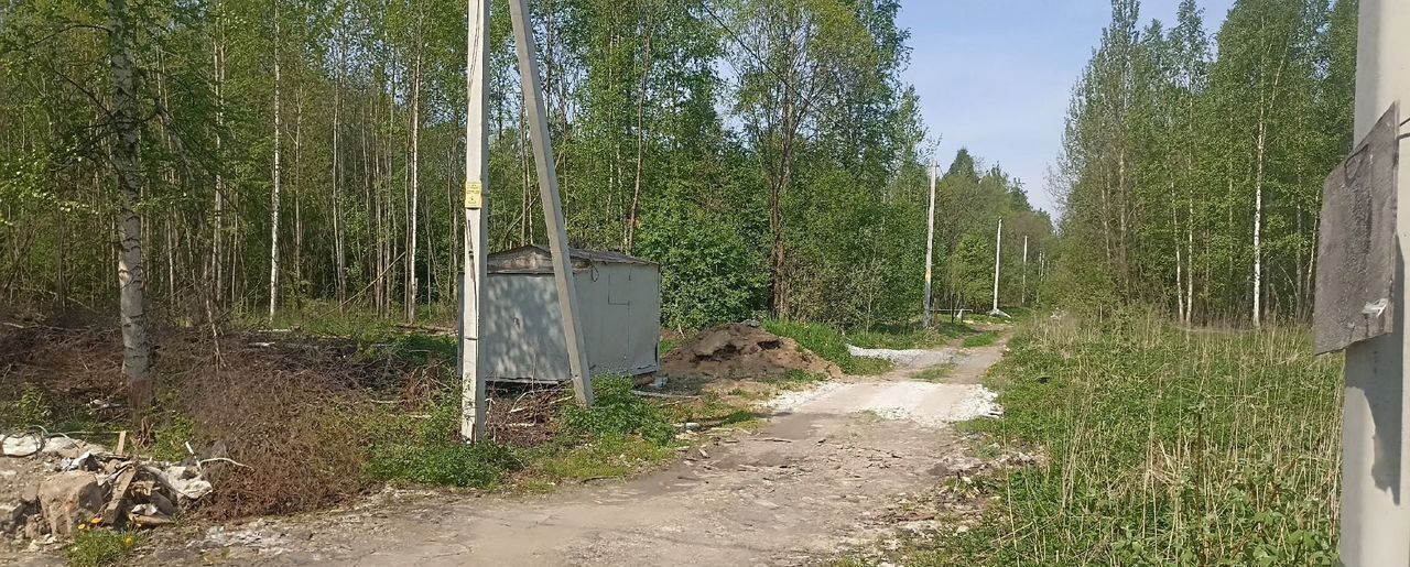 земля р-н Вологодский снт Радужное Педагог, Вологда фото 7