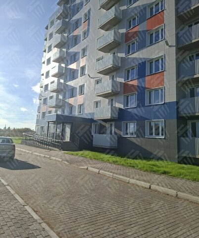 пер Ягодный 46а фото