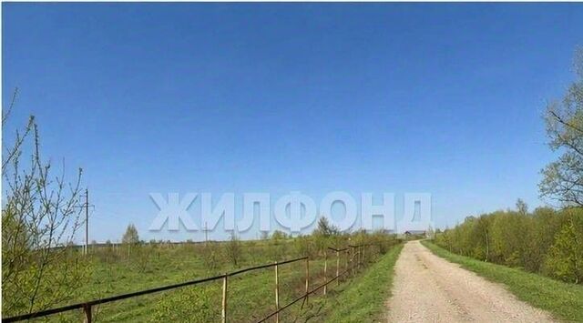 рп Колывань фото рп Колывань фото