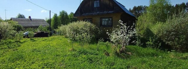 д Канское фото д Канское фото