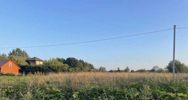 г Осташков д Третники фото