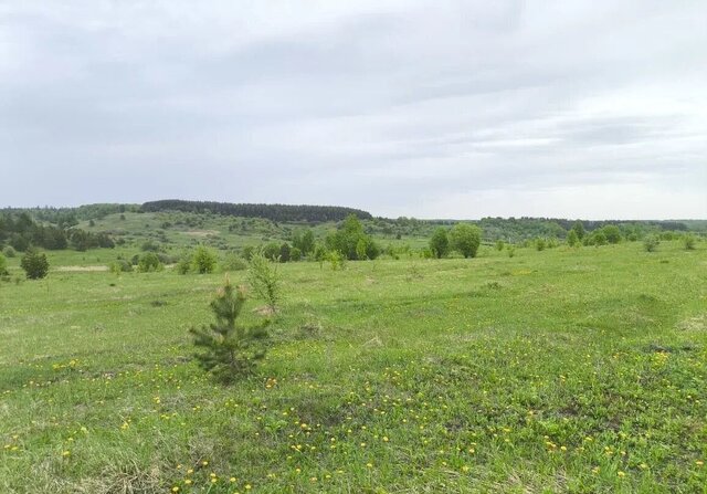р-н Лямбирский с Пензятка Пензятское сельское поселение, Саранск фото р-н Лямбирский с Пензятка Пензятское сельское поселение, Саранск фото