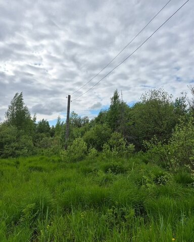 снт тер.Подшипник Вологда фото