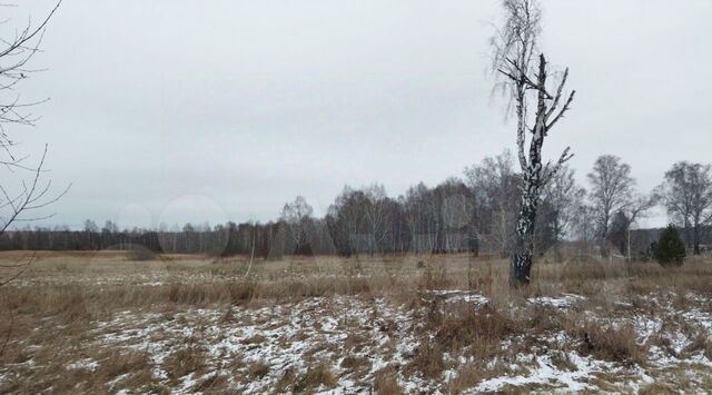 р-н Сосновский д Медиак фото р-н Сосновский д Медиак фото