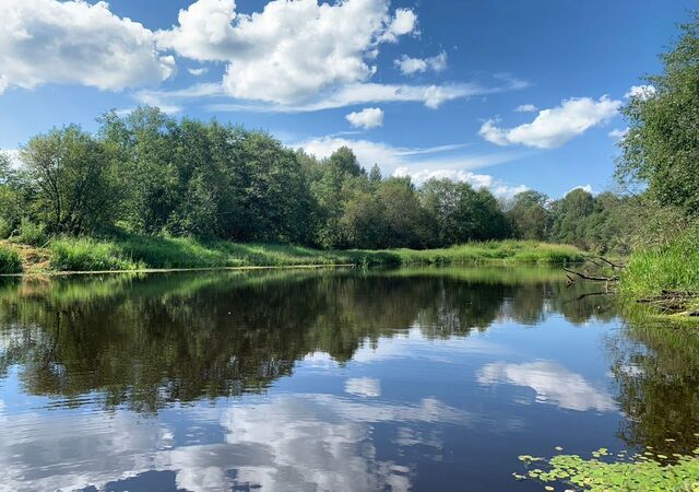 дп. Мулино, Вологда фото дп. Мулино, Вологда фото