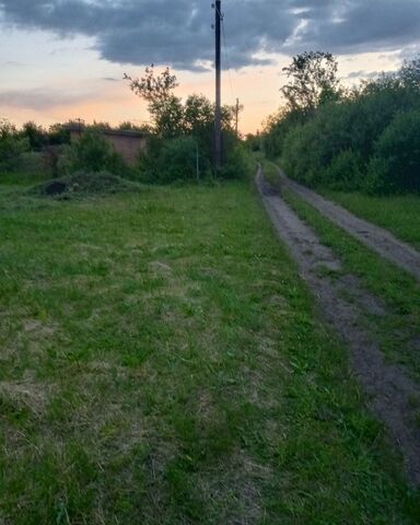 р-н Борисоглебский снт Спутник 301, Борисоглебск фото р-н Борисоглебский снт Спутник 301, Борисоглебск фото