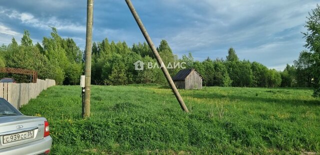 земля с Никольский Торжок фото земля с Никольский Торжок фото