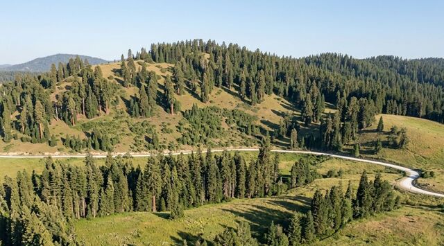 р-н Турочакский с Тондошка ул Береговая фото р-н Турочакский с Тондошка ул Береговая фото