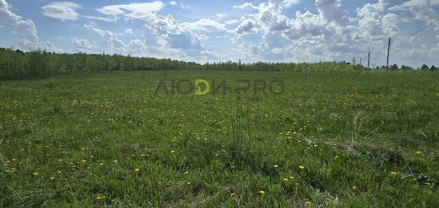 деревня Марково Лесковский сельсовет фото деревня Марково Лесковский сельсовет фото