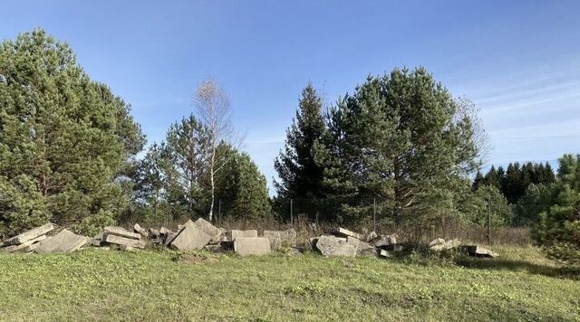 р-н Западнодвинский г Западная Двина д Новый Бор фото р-н Западнодвинский г Западная Двина д Новый Бор фото