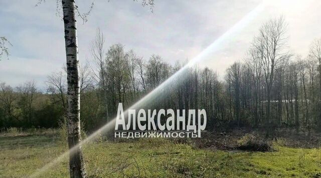 р-н Лужский д Югостицы Скребловское с/пос фото р-н Лужский д Югостицы Скребловское с/пос фото