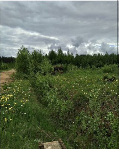 ул Ольховая Великий Устюг фото