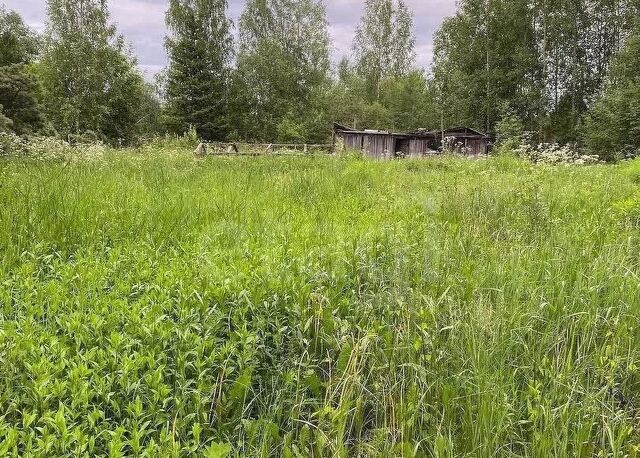 р-н Прионежский д Вилга Нововилговское сельское поселение, Р-21 Кола, 419-й километр, Петрозаводск фото р-н Прионежский д Вилга Нововилговское сельское поселение, Р-21 Кола, 419-й километр, Петрозаводск фото