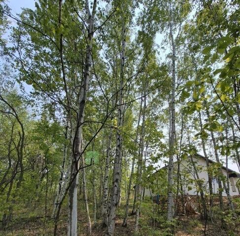 г Хабаровск р-н Краснофлотский ул Булатная 28 фото