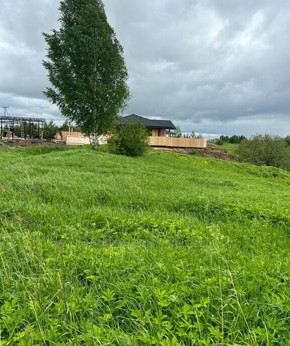 земля р-н Вологодский д Борилово фото 4