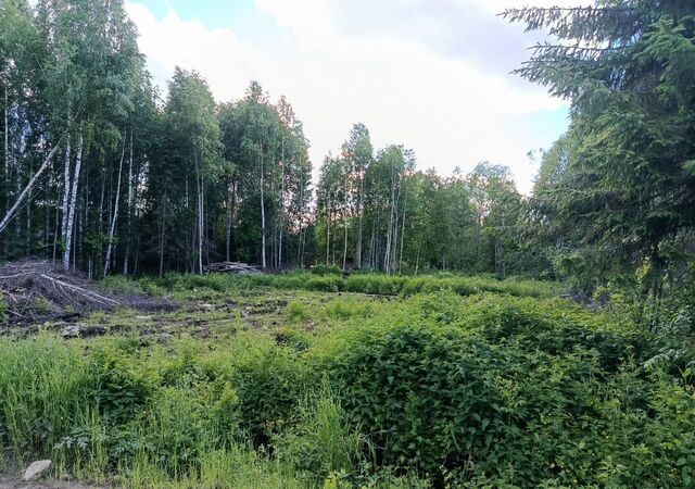 г Сыктывкар снт тер ЧовскоеЧовские зори территория Човское, 129 фото г Сыктывкар снт тер ЧовскоеЧовские зори территория Човское, 129 фото