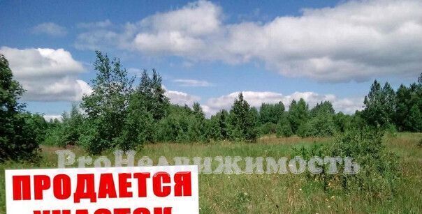 р-н Кызылский с Сукпак кожуун фото р-н Кызылский с Сукпак кожуун фото
