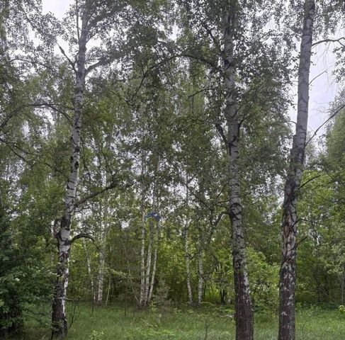 г Казань с Константиновка метро Горки ул Центральная 105 жилмассив фото г Казань с Константиновка метро Горки ул Центральная 105 жилмассив фото