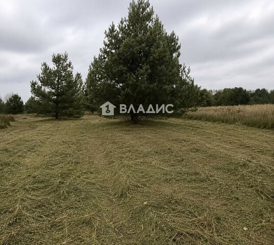 Заволжская улица, 11, муниципальный округ Бор, село Ильинское фото Заволжская улица, 11, муниципальный округ Бор, село Ильинское фото
