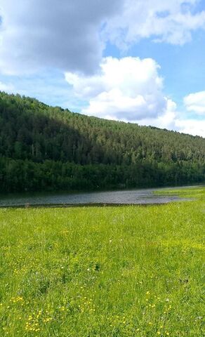 д Нижние Балмазы ул Ключевая сельсовет фото д Нижние Балмазы ул Ключевая сельсовет фото