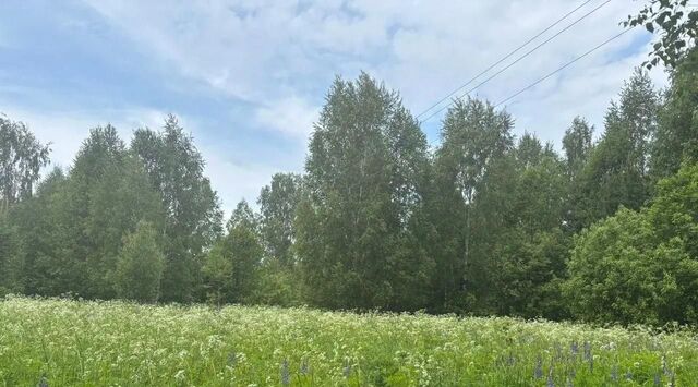 р-н Завьяловский тер ДНТ Соловушки фото р-н Завьяловский тер ДНТ Соловушки фото