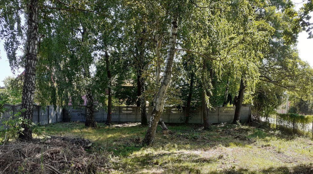 земля р-н Гурьевский г Гурьевск ул Луговая 16 фото 6
