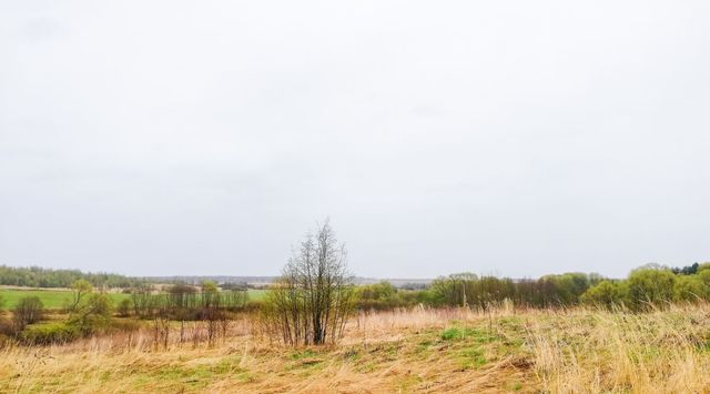 ул Клубная Переславль-Залесский городской округ фото