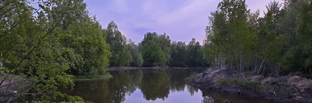 земля г Бор д. Пионерское фото 2