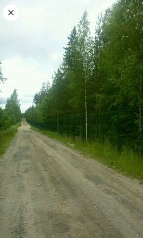 Полянское сельское поселение, садоводческое некоммерческое товарищество Поляна фото