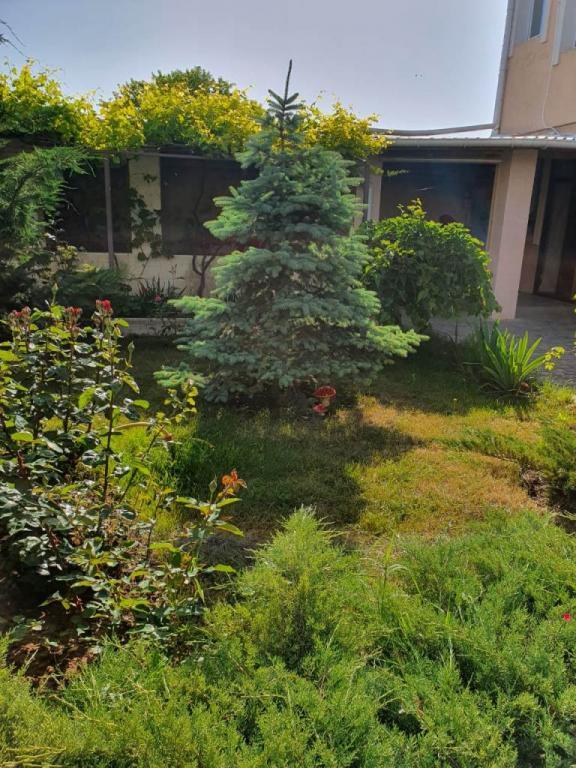 готовый бизнес г Евпатория пгт Заозерное фото 32