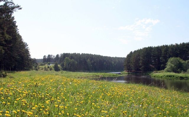 земля ул Исетская Каменск-Уральский фото