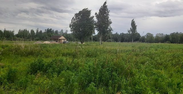 р-н Новгородский д Медвежья Голова Ракомское сельское поселение, Великий Новгород фото