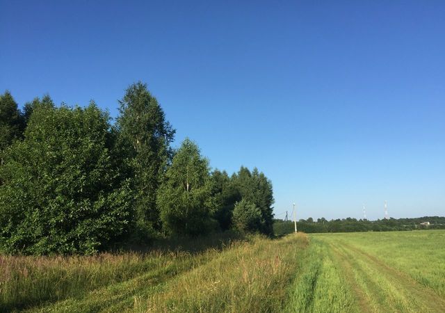 сельское поселение Завидово, Новозавидовский фото