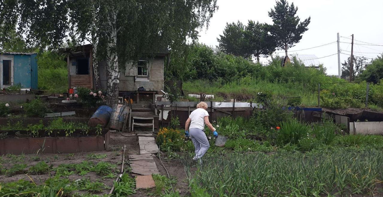 земля г Новосибирск Золотая Нива территория садоводческого некоммерческого товарищества Ветеран фото 3