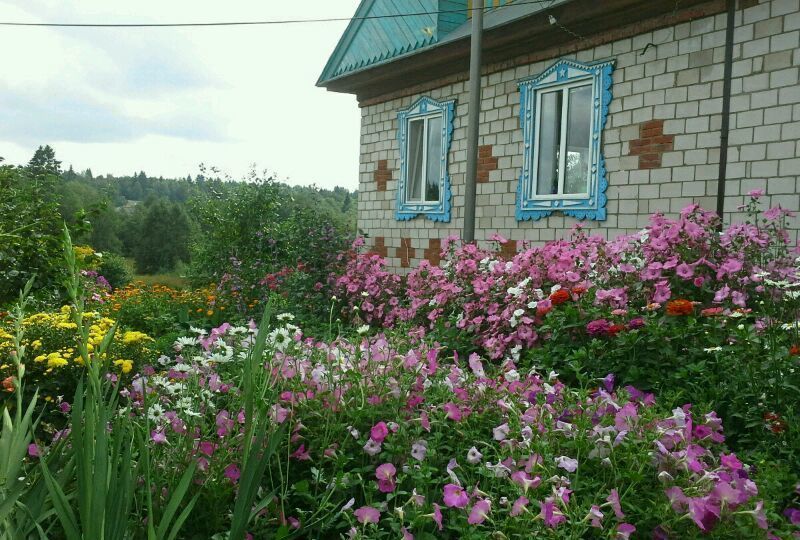 дом р-н Агрызский г Агрыз фото 1