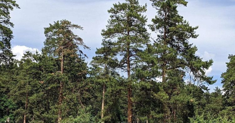 дом г Тула р-н Пролетарский садовое товарищество Металлург-9 фото 3