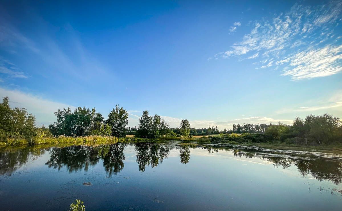 земля городской округ Пушкинский с Братовщина Правдинский фото 6