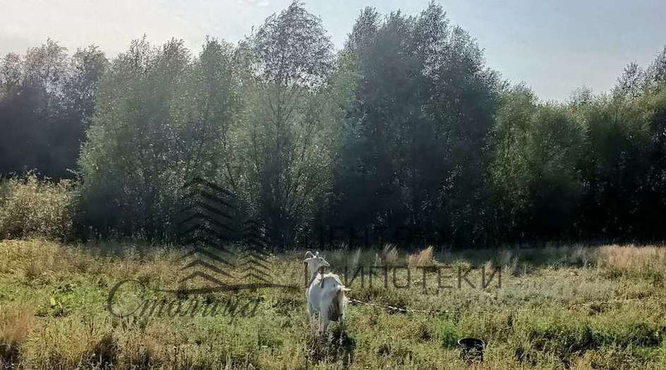 дом р-н Старооскольский с Каплино Старооскольский городской округ фото 17