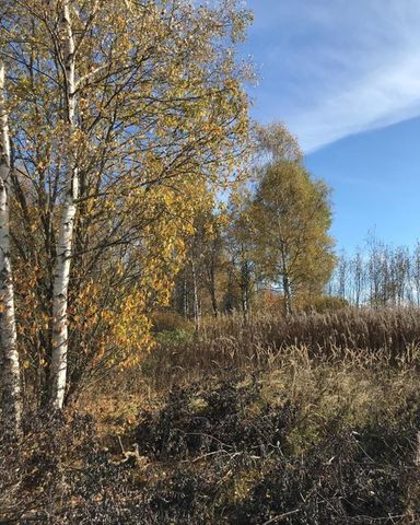 р-н Смоленский Михновское сельское поселение, Смоленск фото