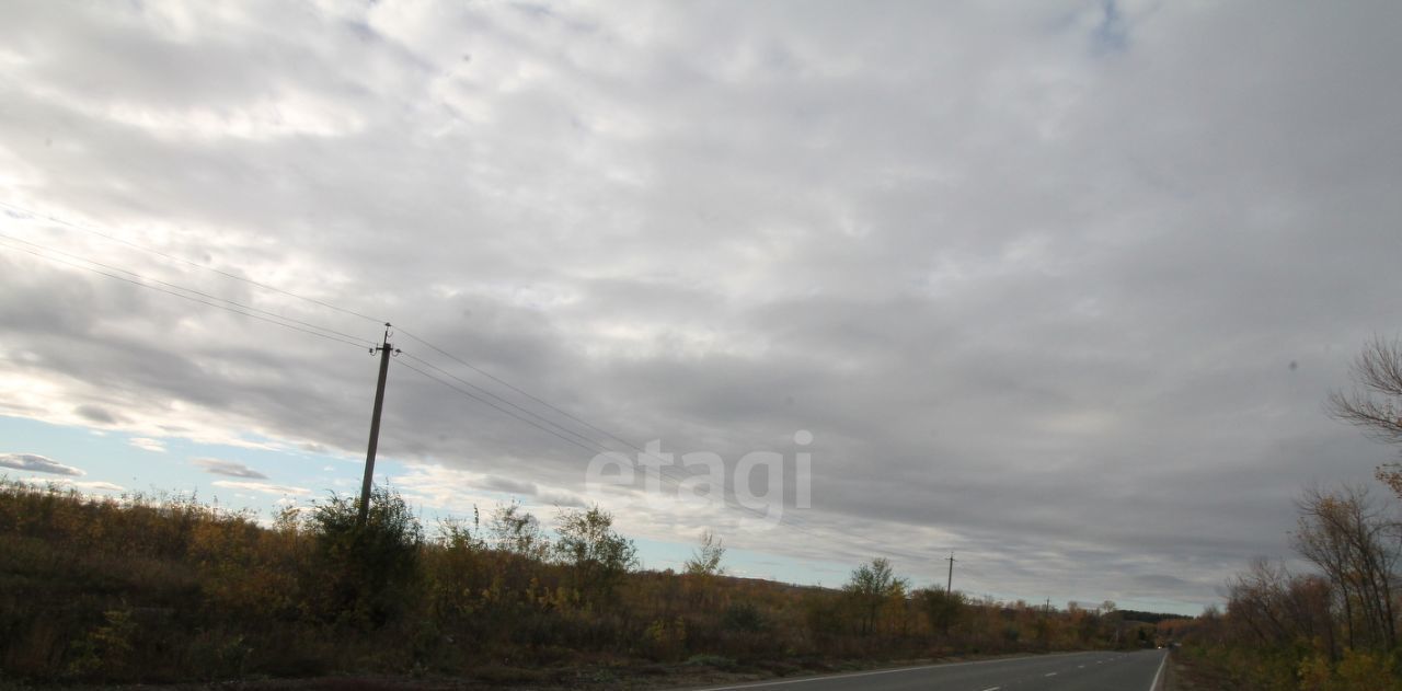земля г Новоульяновск с Панская Слобода фото 4