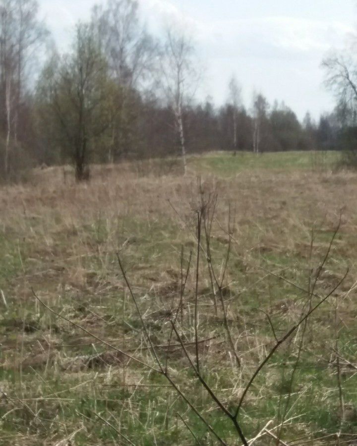 земля р-н Угличский г Углич фото 1