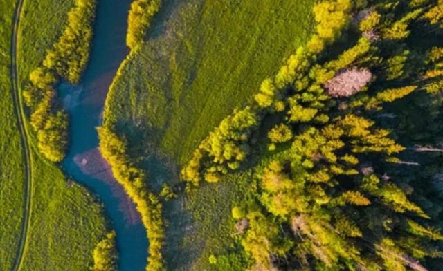 с Погорелое Городище ул Первомайская Зубцов фото