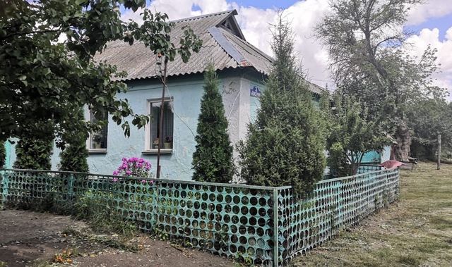 дом с Казанское пер Пасечный фото