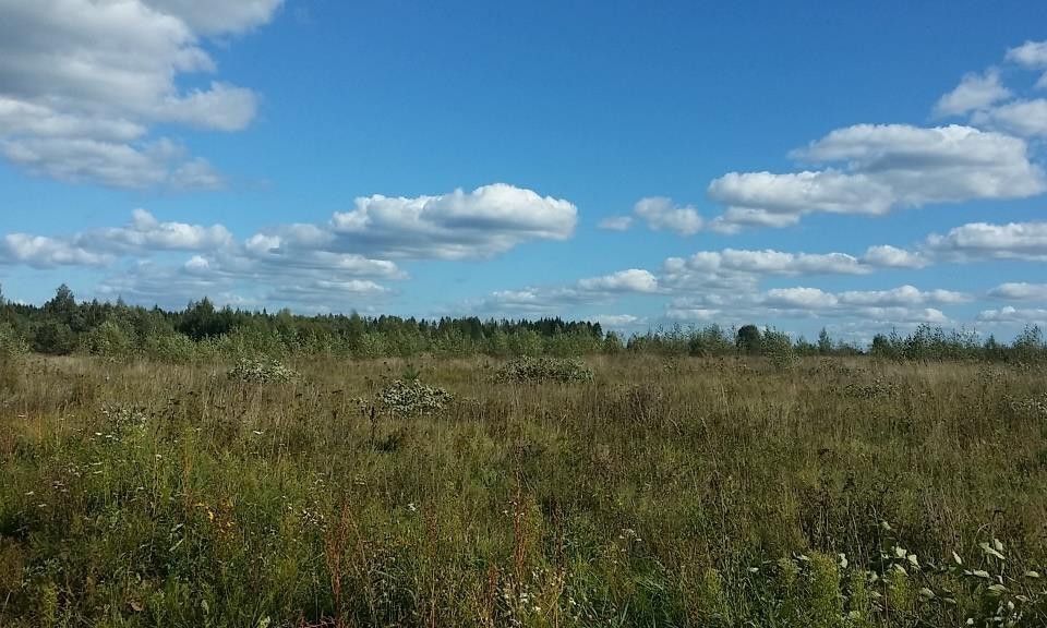 земля р-н Новгородский фото 1