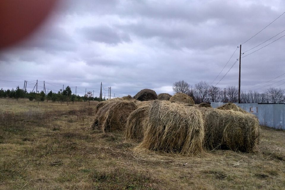 земля р-н Белоярский фото 3