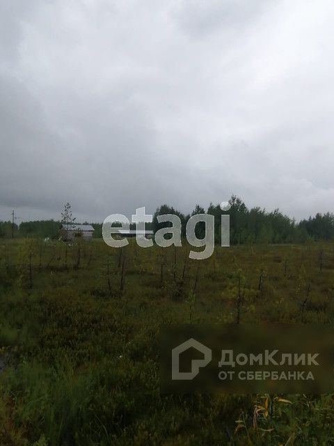 земля г Нижневартовск фото 3